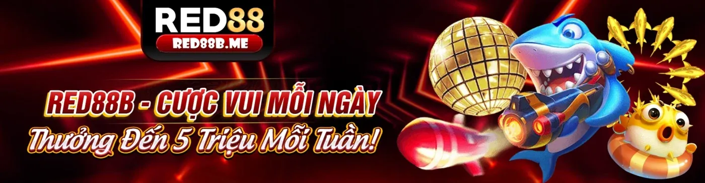 Tầm nhìn và Sứ mệnh của k9cc code